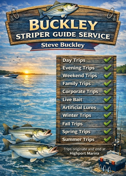 Buckley Striper Guide Service infographic showing Lake Texoma striper fishing trips, seasonal trips, live bait, and artificial lures launching from Highport Marina.