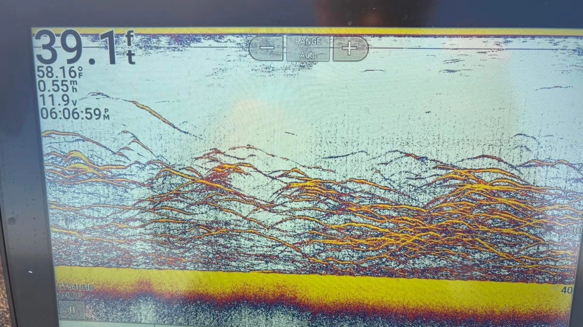 Lake Texoma sonar showing striped bass school in 39 feet of water