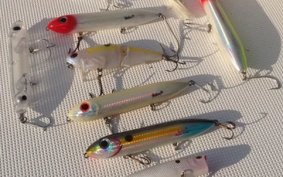 Topwater Plugs for Lake Texoma Stripers
