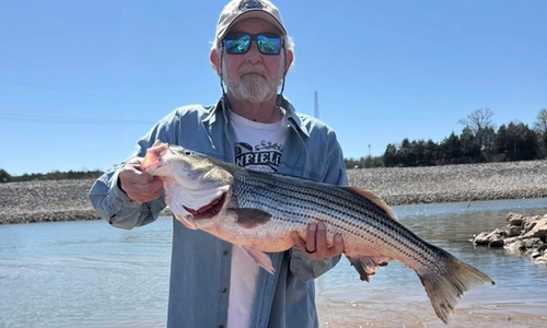 Soft plastic swimbaits and paddle tail lures used for Lake Texoma striped bass fishing.