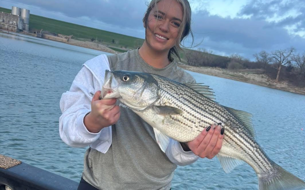 Lake Texoma striped bass caught on guided fishing trip