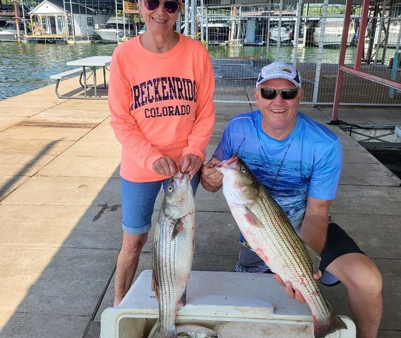 Lake Texoma striper fishing success with anglers holding two striped bass on dock