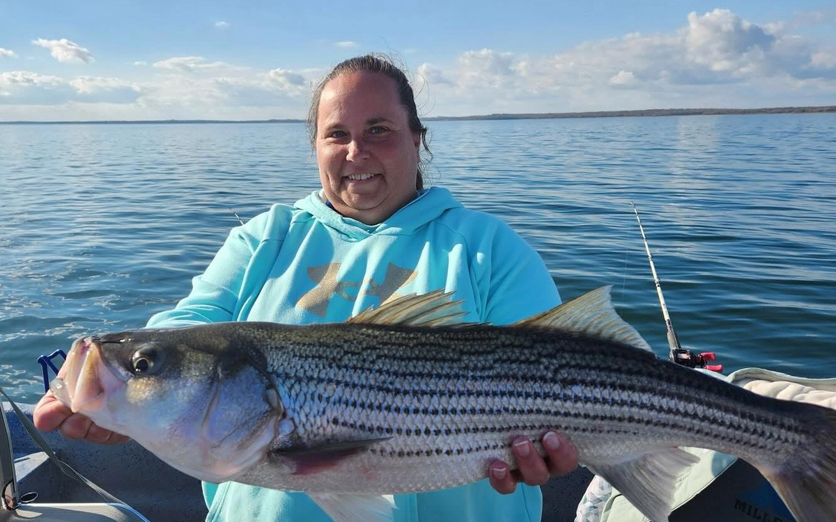 Large striped bass caught on Lake Texoma during a guided striper fishing trip
