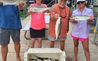 When do stripers spawn Lake Texoma