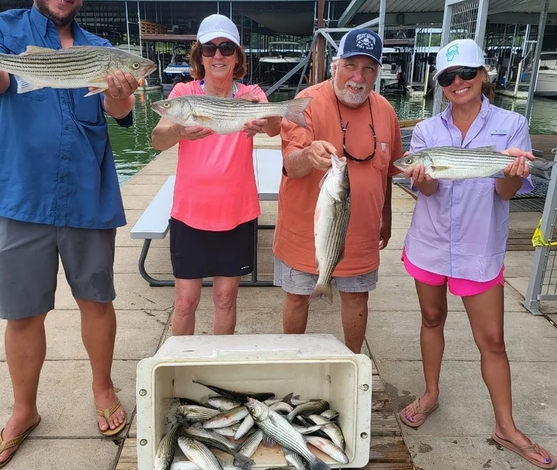 Lake Texoma striper fishing trip success with multiple striped bass catch