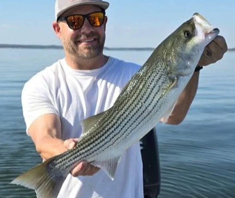 Angler holding striped bass on Lake Texoma during calm morning conditions
