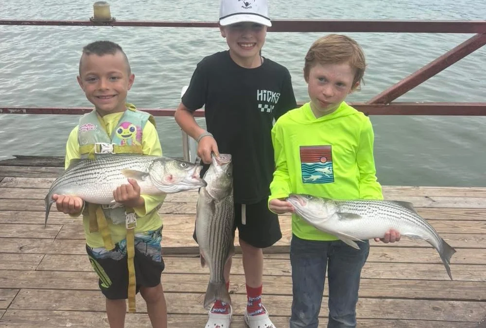 Lake Texoma Fishing Seasons
