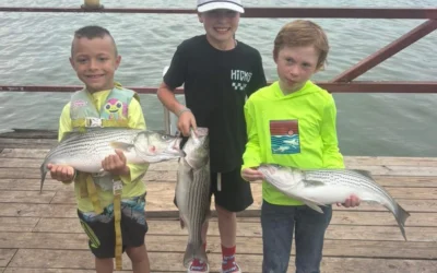 Lake Texoma Fishing Seasons