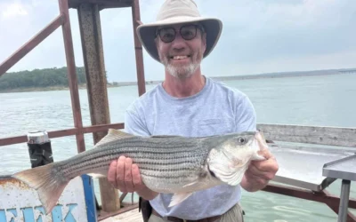 Spring Striper Fishing Lake Texoma