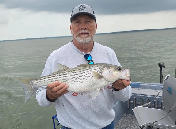 How to Book a Fishing Guide on Lake Texoma