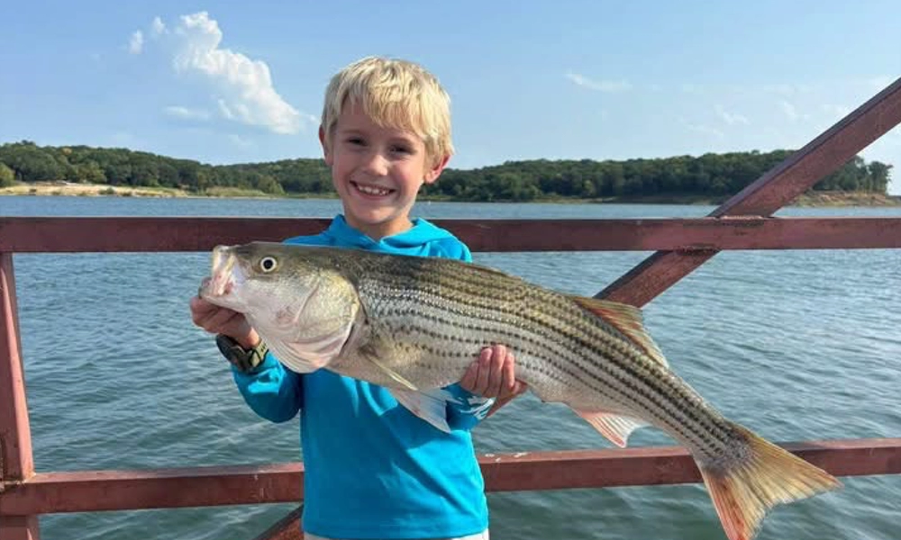 Young angler holding Lake Texoma striped bass during fall fishing